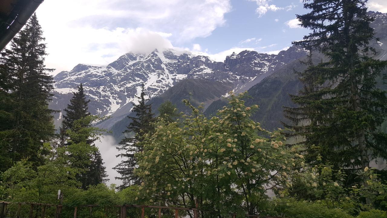 Gasthof Waldruhe Solda Dış mekan fotoğraf