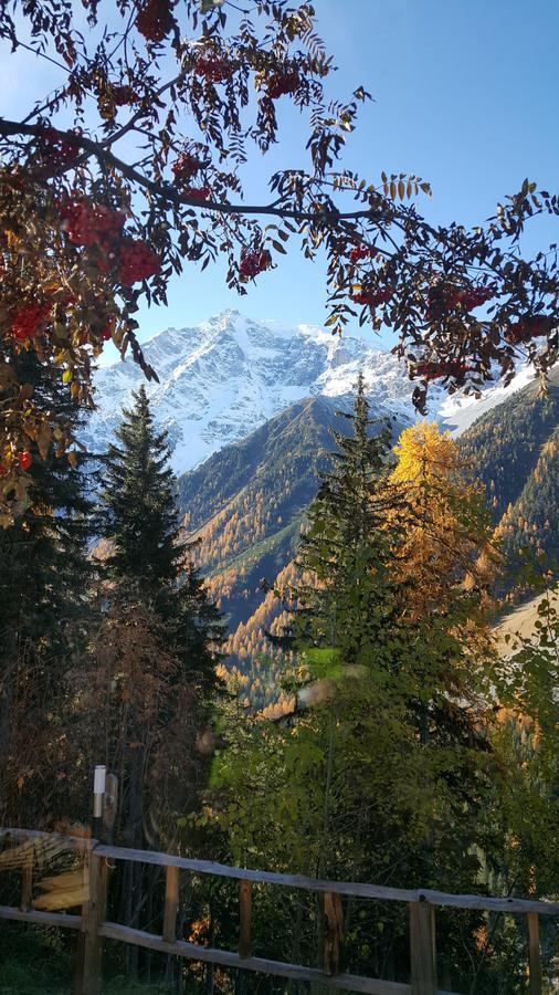 Gasthof Waldruhe Solda Dış mekan fotoğraf