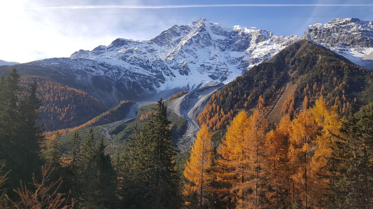 Gasthof Waldruhe Solda Dış mekan fotoğraf
